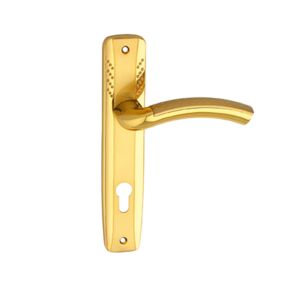 Liviera Door Handle with Plate Gold